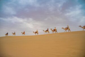 City Tour – Abu Dhabi