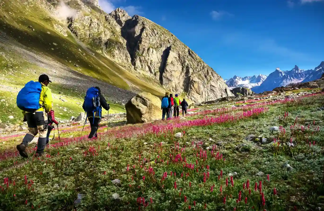 Hampta Pass Trek
